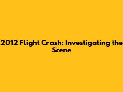 2012 Flight Crash: Investigating the Scene