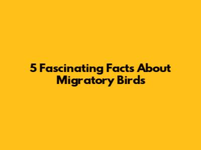5 Fascinating Facts About Migratory Birds