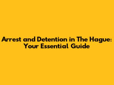 Arrest and Detention in The Hague: Your Essential Guide