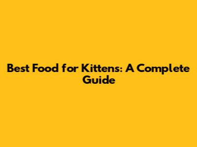 Best Food for Kittens: A Complete Guide