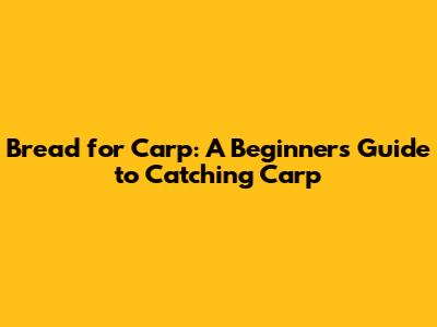 Bread for Carp: A Beginner's Guide to Catching Carp