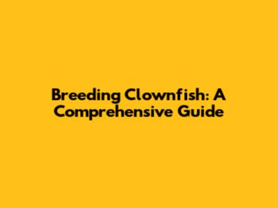 Breeding Clownfish: A Comprehensive Guide
