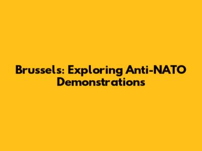 Brussels: Exploring Anti-NATO Demonstrations