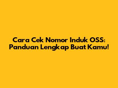 Cara Cek Nomor Induk OSS: Panduan Lengkap Buat Kamu!