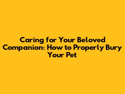 Caring for Your Beloved Companion: How to Properly Bury Your Pet