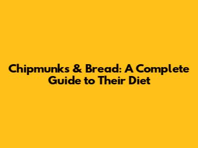 Chipmunks & Bread: A Complete Guide to Their Diet