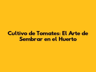 Cultivo de Tomates: El Arte de Sembrar en el Huerto