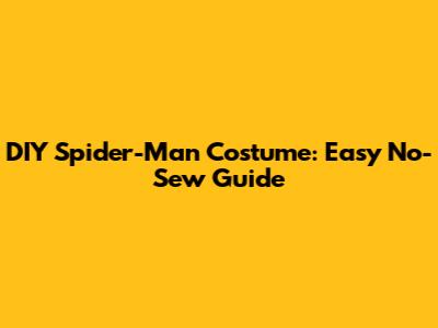 DIY Spider-Man Costume: Easy No-Sew Guide