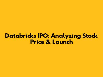 Databricks IPO: Analyzing Stock Price & Launch