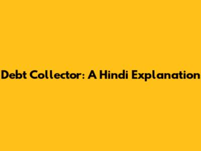Debt Collector: A Hindi Explanation