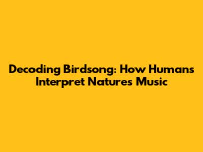Decoding Birdsong: How Humans Interpret Nature's Music