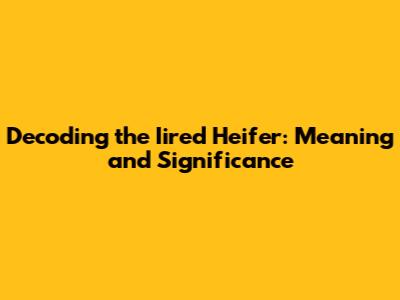 Decoding the 'Iired Heifer': Meaning and Significance