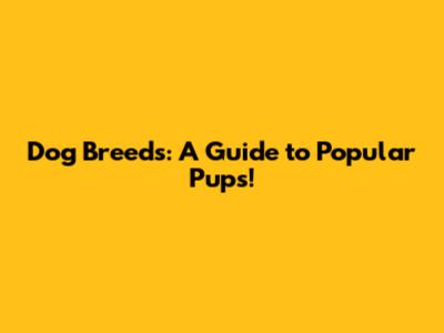 Dog Breeds: A Guide to Popular Pups!