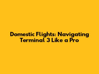 Domestic Flights: Navigating Terminal 3 Like a Pro