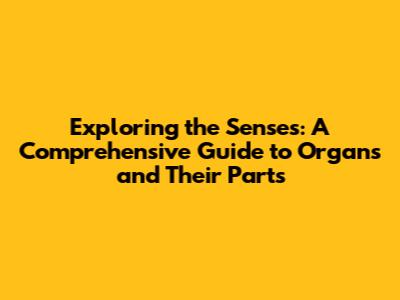 Exploring the Senses: A Comprehensive Guide to Organs and Their Parts