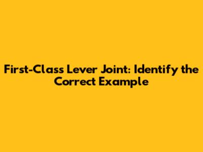 First-Class Lever Joint: Identify the Correct Example