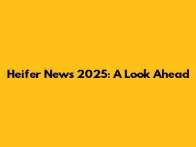 Heifer News 2025: A Look Ahead
