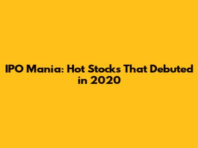 IPO Mania: Hot Stocks That Debuted in 2020