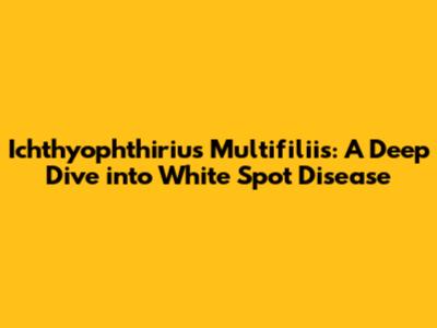 Ichthyophthirius Multifiliis: A Deep Dive into White Spot Disease
