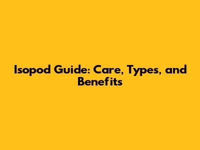 Isopod Guide: Care, Types, and Benefits