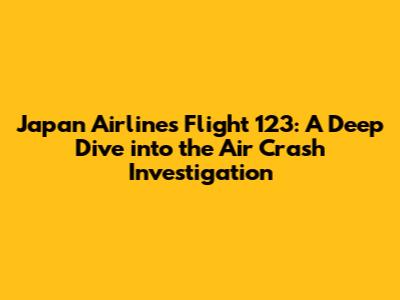 Japan Airlines Flight 123: A Deep Dive into the Air Crash Investigation