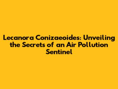 Lecanora Conizaeoides: Unveiling the Secrets of an Air Pollution Sentinel