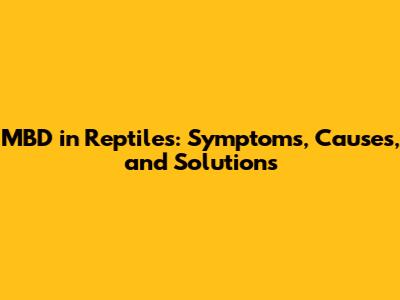 MBD in Reptiles: Symptoms, Causes, and Solutions