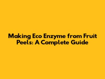 Making Eco Enzyme from Fruit Peels: A Complete Guide