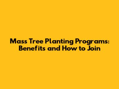 Mass Tree Planting Programs: Benefits and How to Join