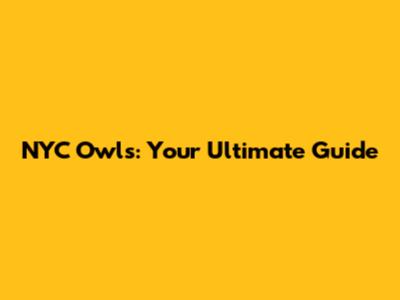 NYC Owls: Your Ultimate Guide