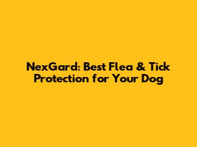 NexGard: Best Flea & Tick Protection for Your Dog