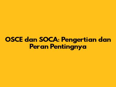 OSCE dan SOCA: Pengertian dan Peran Pentingnya