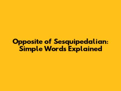 Opposite of Sesquipedalian: Simple Words Explained