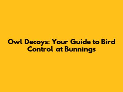Owl Decoys: Your Guide to Bird Control at Bunnings