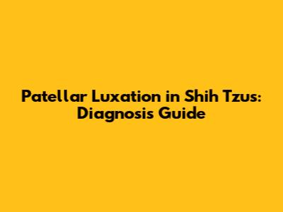 Patellar Luxation in Shih Tzus: Diagnosis Guide