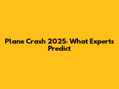 Plane Crash 2025: What Experts Predict