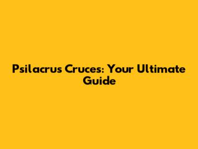 Psilacrus Cruces: Your Ultimate Guide