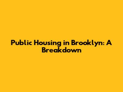 Public Housing in Brooklyn: A Breakdown