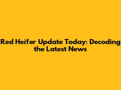 Red Heifer Update Today: Decoding the Latest News