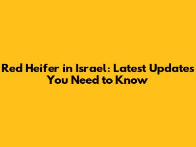 Red Heifer in Israel: Latest Updates You Need to Know