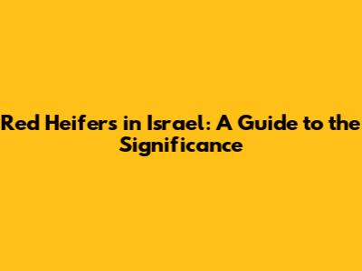 Red Heifers in Israel: A Guide to the Significance
