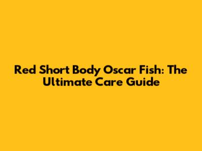 Red Short Body Oscar Fish: The Ultimate Care Guide