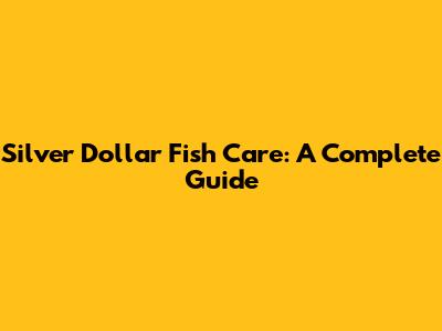 Silver Dollar Fish Care: A Complete Guide