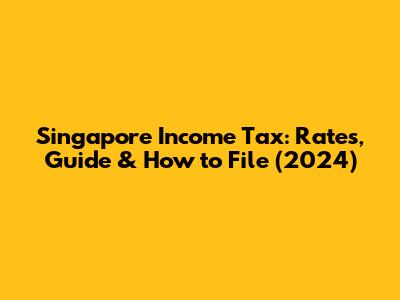 Singapore Income Tax: Rates, Guide & How to File (2024)