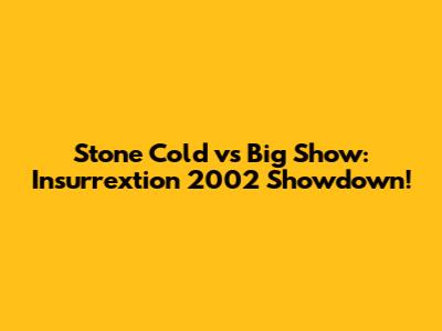 Stone Cold vs Big Show: Insurrextion 2002 Showdown!