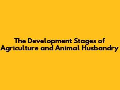 The Development Stages of Agriculture and Animal Husbandry