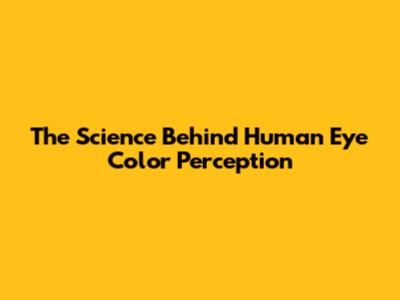 The Science Behind Human Eye Color Perception