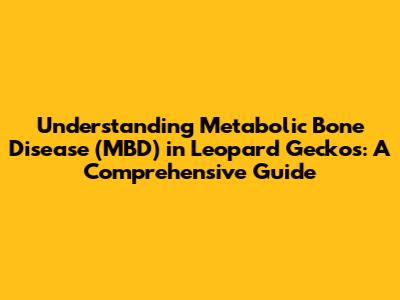 Understanding Metabolic Bone Disease (MBD) in Leopard Geckos: A Comprehensive Guide