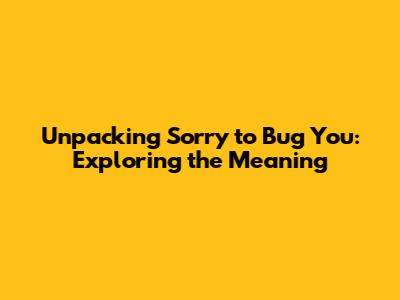 Unpacking 'Sorry to Bug You': Exploring the Meaning