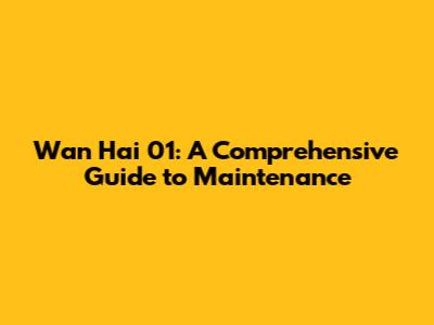 Wan Hai 01: A Comprehensive Guide to Maintenance